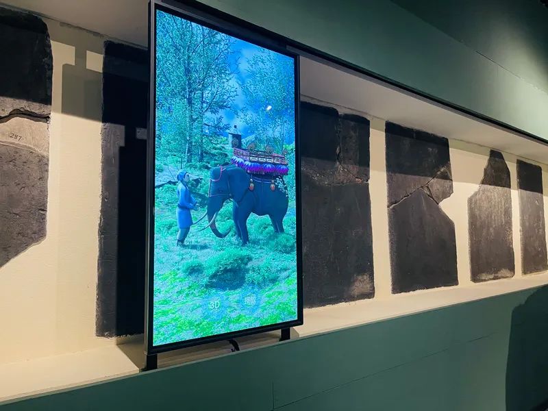 1650014387460310.jpg 1650014387460310.jpg